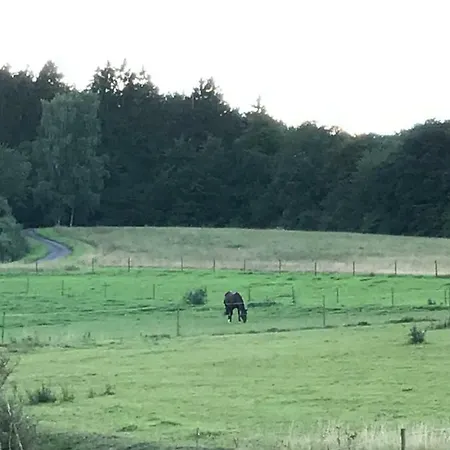 Goebel * Kelberg