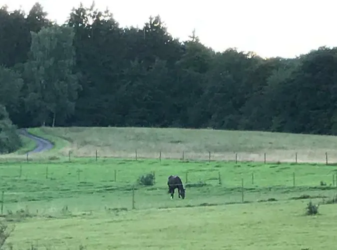 Goebel * Кельберг